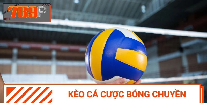 Các hình thức kèo chơi bóng chuyền hấp dẫn