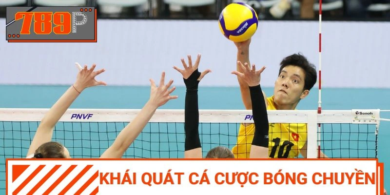 Khái quát về chuyên mục dự đoán bóng chuyền