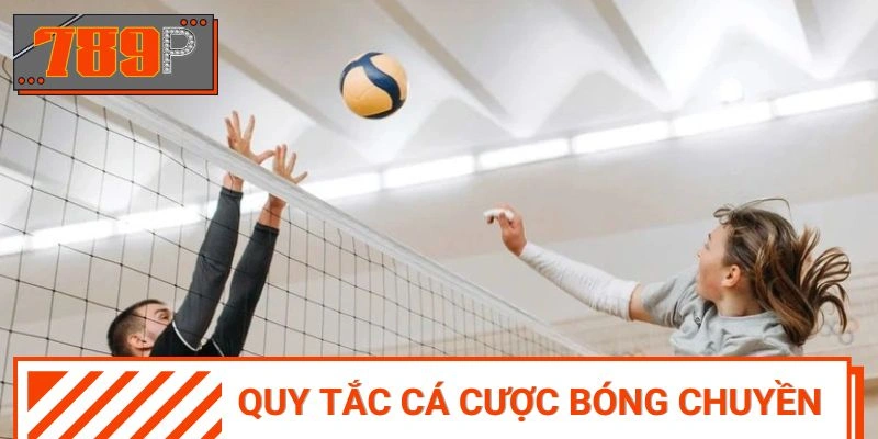 Quy tắc cần nắm trong cá cược bóng chuyền
