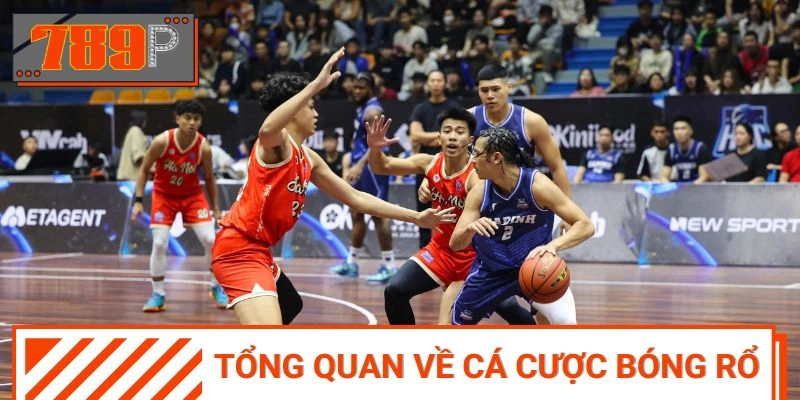 Khái quát về thể loại dự đoán bóng rổ