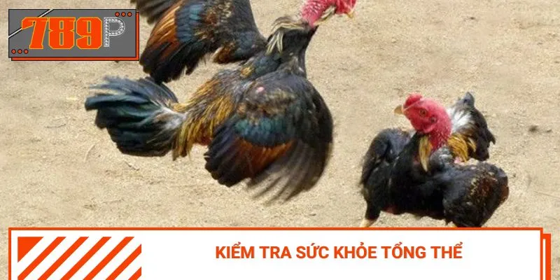 Tránh chọn gà đang bị bệnh vì có thể sẽ dễ lây cho đàn