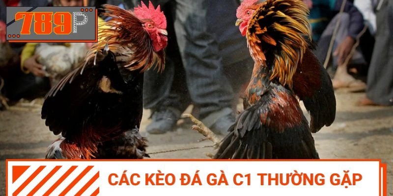 Các kèo đá gà C1 phổ biến hiện nay