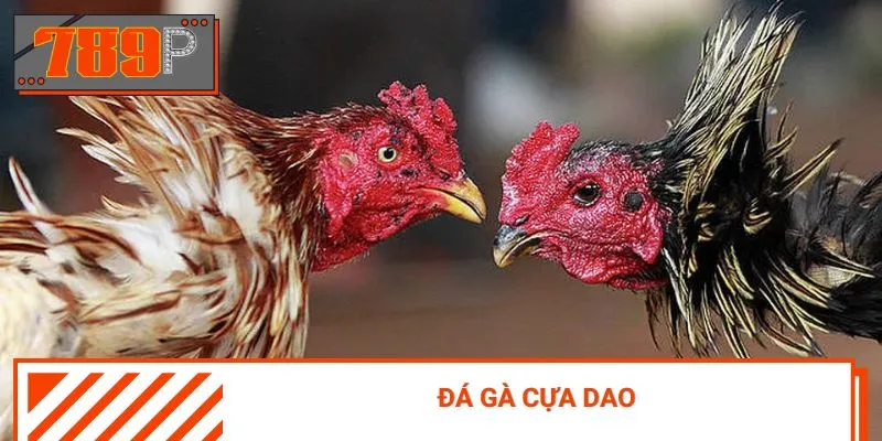Mãn nhãn với những cú chém thần tốc của hình thức gà cựa dao