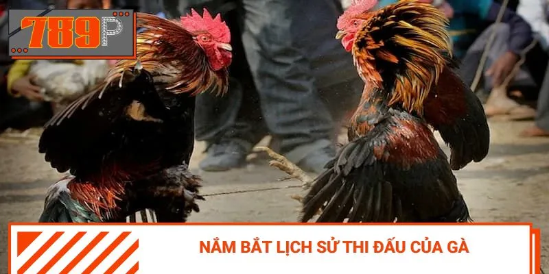 Tìm hiểu chi tiết về lịch đấu sắp diễn ra để đưa ra phân tích