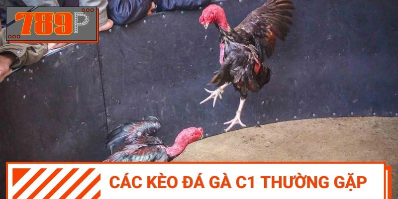 Chiến lược hữu ích khi trải nghiệm đấu gà Thomo