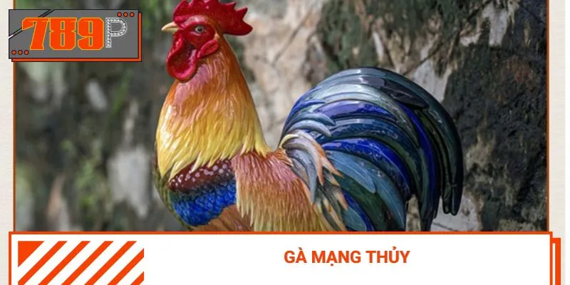 Chiến kê mạng thuỷ