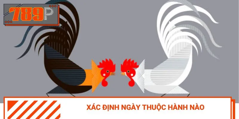 Cách phối hợp màu mệnh và ngày thi đấu để đạt hiệu quả
