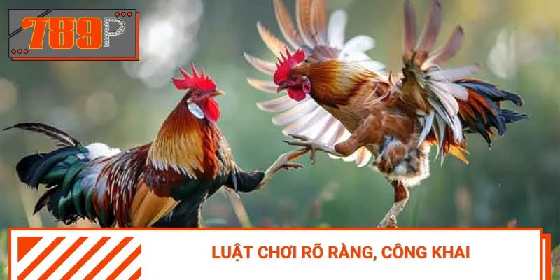 Xây dựng một quy trình thi đấu bài bản và luật lệ chặt chẽ